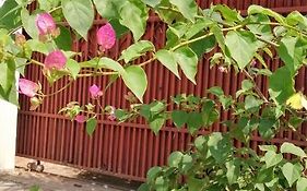 La Maison des Bambous Siem Reap