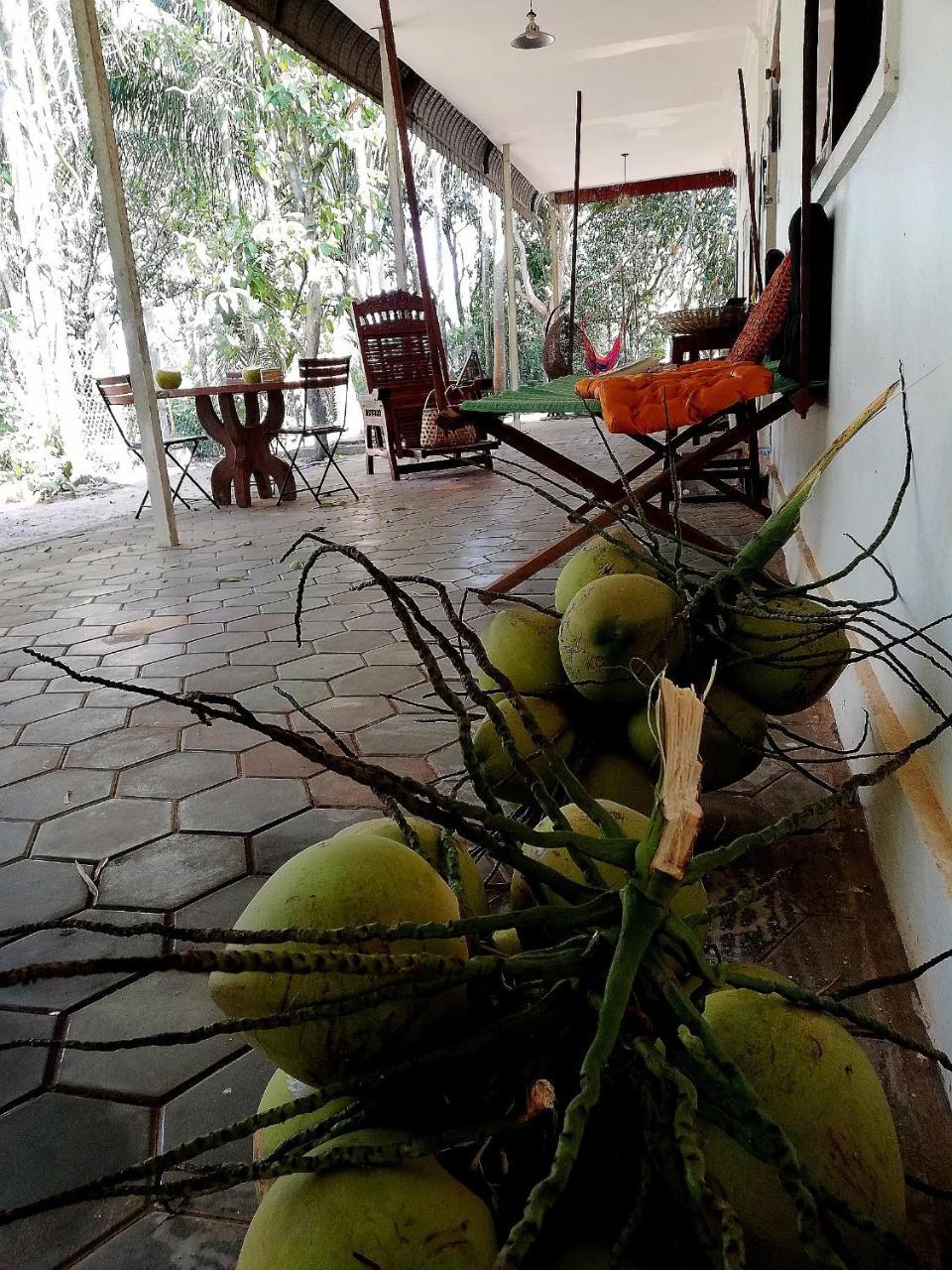 La Maison des Bambous Siem Reap Extérieur photo